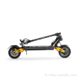 2022 NOUVEAU CITYCOCO CITYCOCO 2000W Scooters électriques adultes / Ecoder pliant Scooter électrique